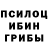 Псилоцибиновые грибы GOLDEN TEACHER Ilyas Saliyev