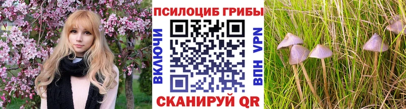 купить наркотик  Горячеводский  Псилоцибиновые грибы Psilocybine cubensis 